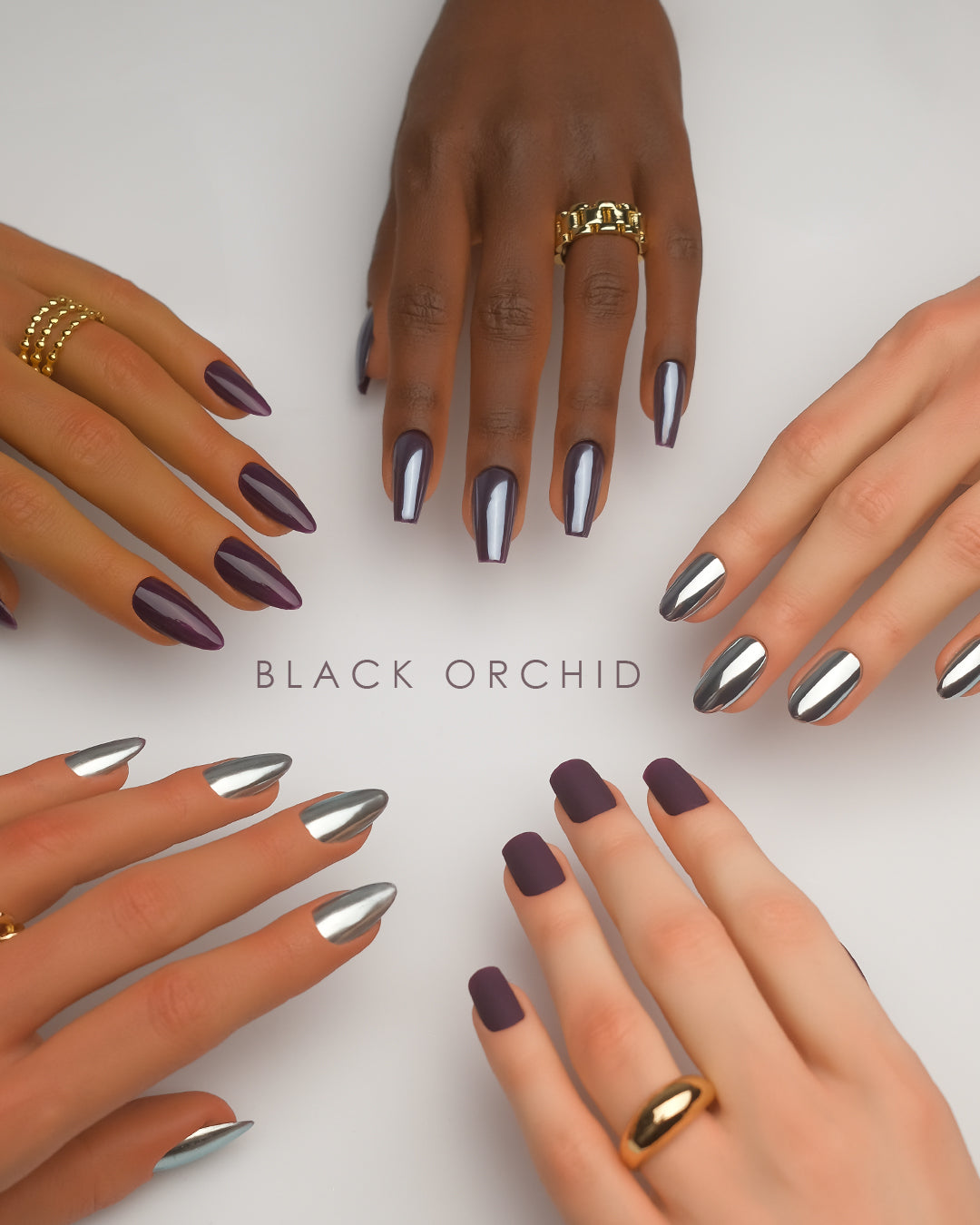Black Orchid
