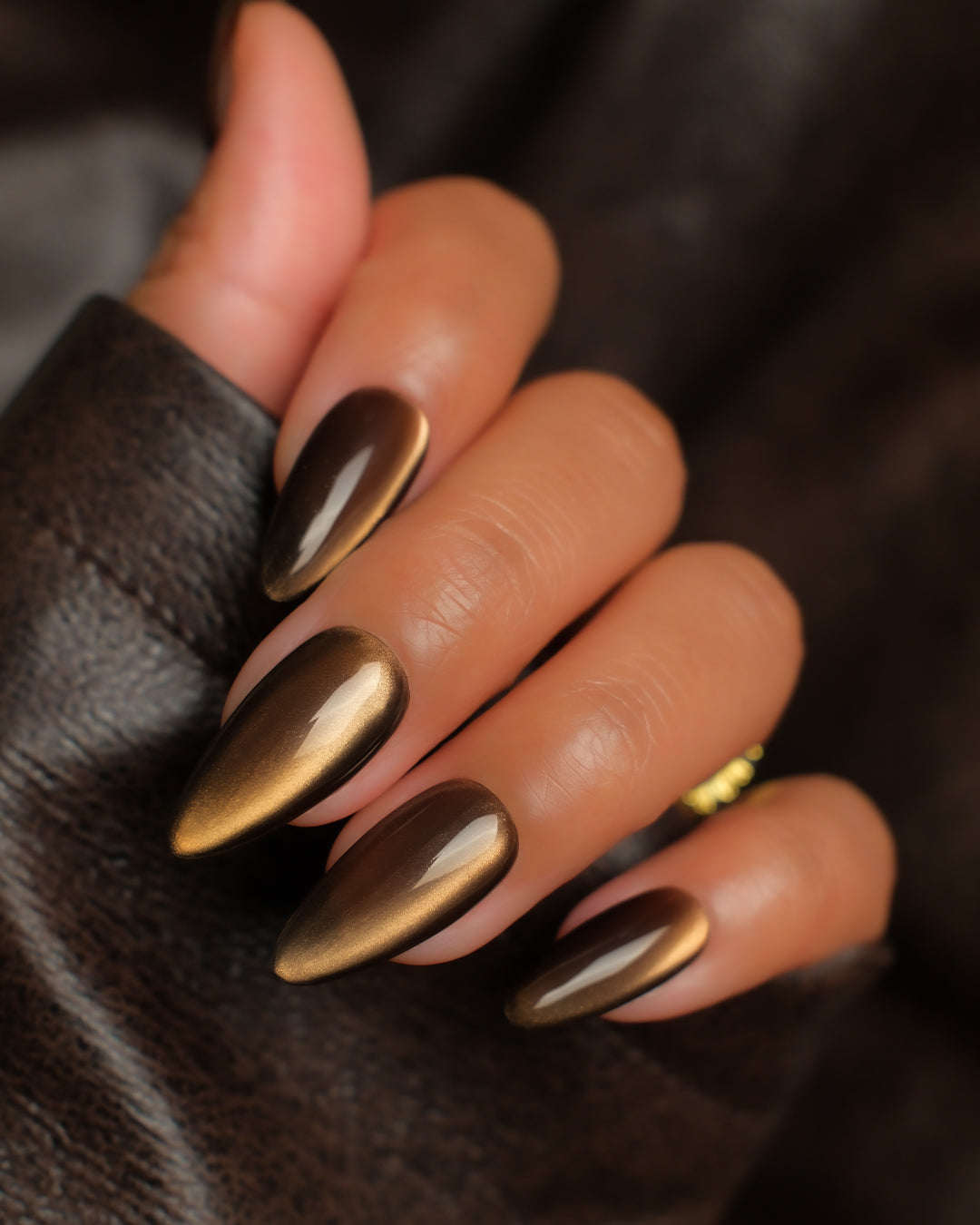 Olive Branch (New)