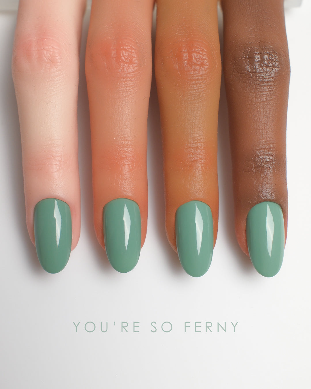 You're So Ferny (New)