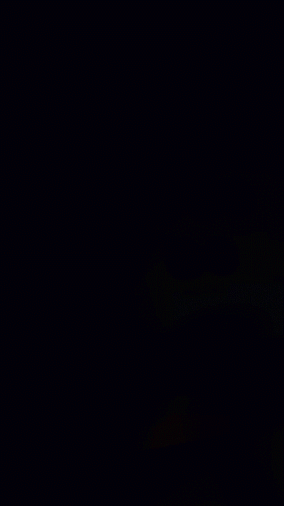 Glitter Rubber Base Bundle (Gold Flakes)