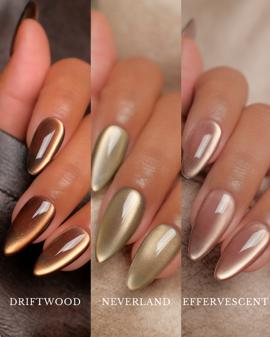 Driftwood · Neverland · Effervescent