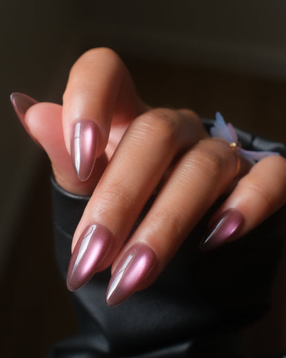 Butterfly Effect (New)