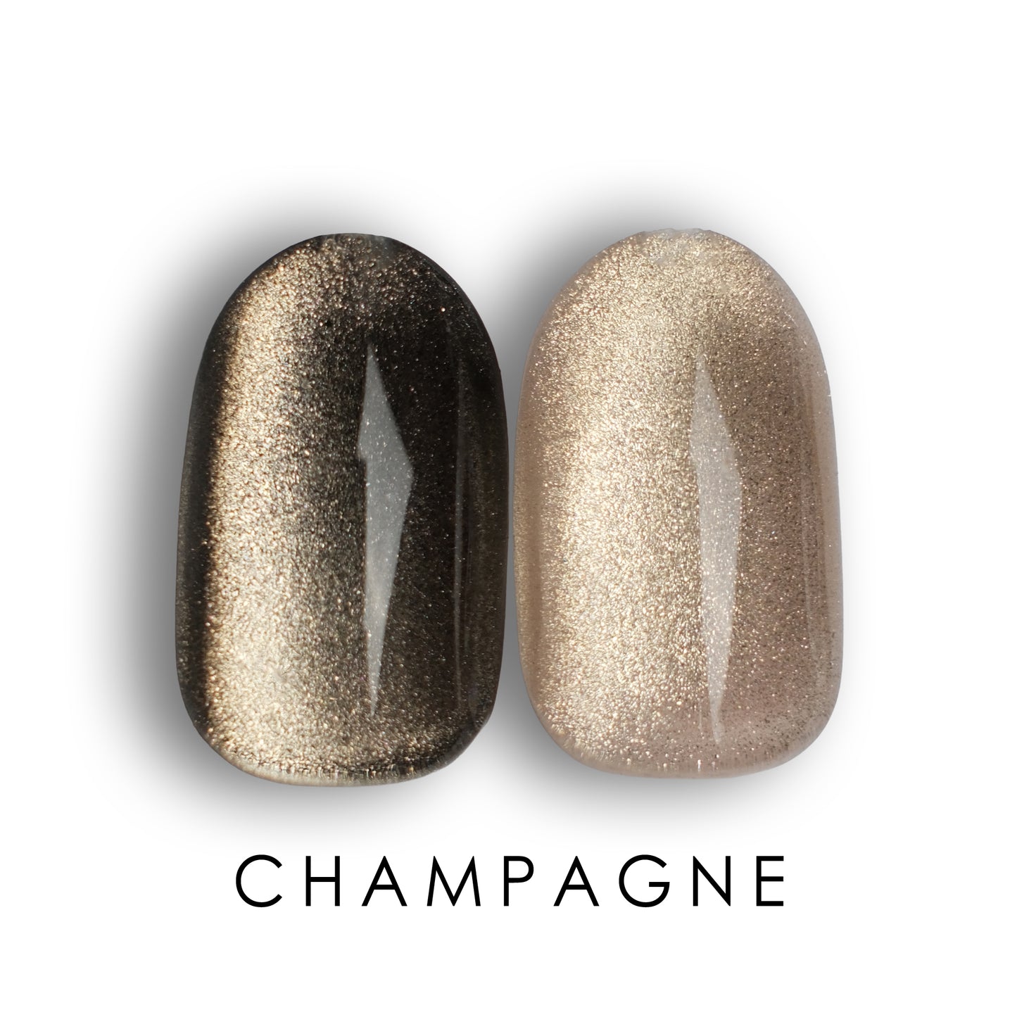 Champagne (New)