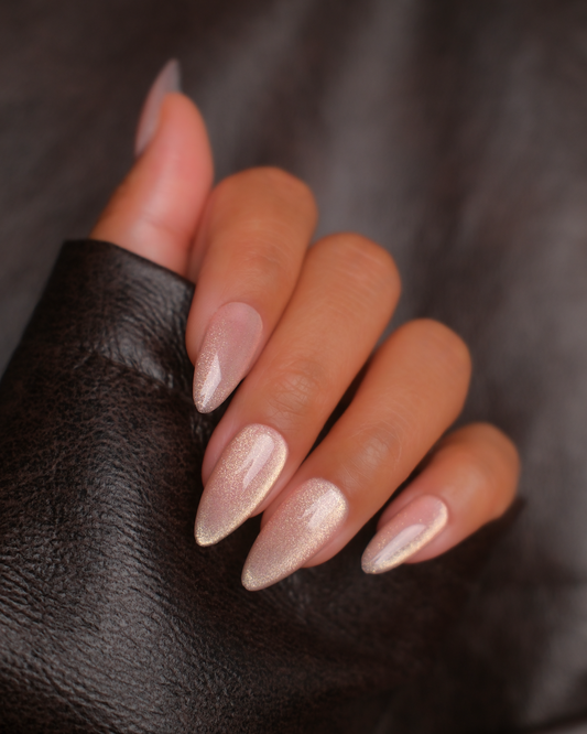 Champagne (New)