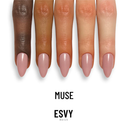 Muse
